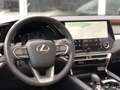 Lexus RX 450h 450h+ Plug-in Hybrid AWD Executive Line | Panorama Grün - thumbnail 17