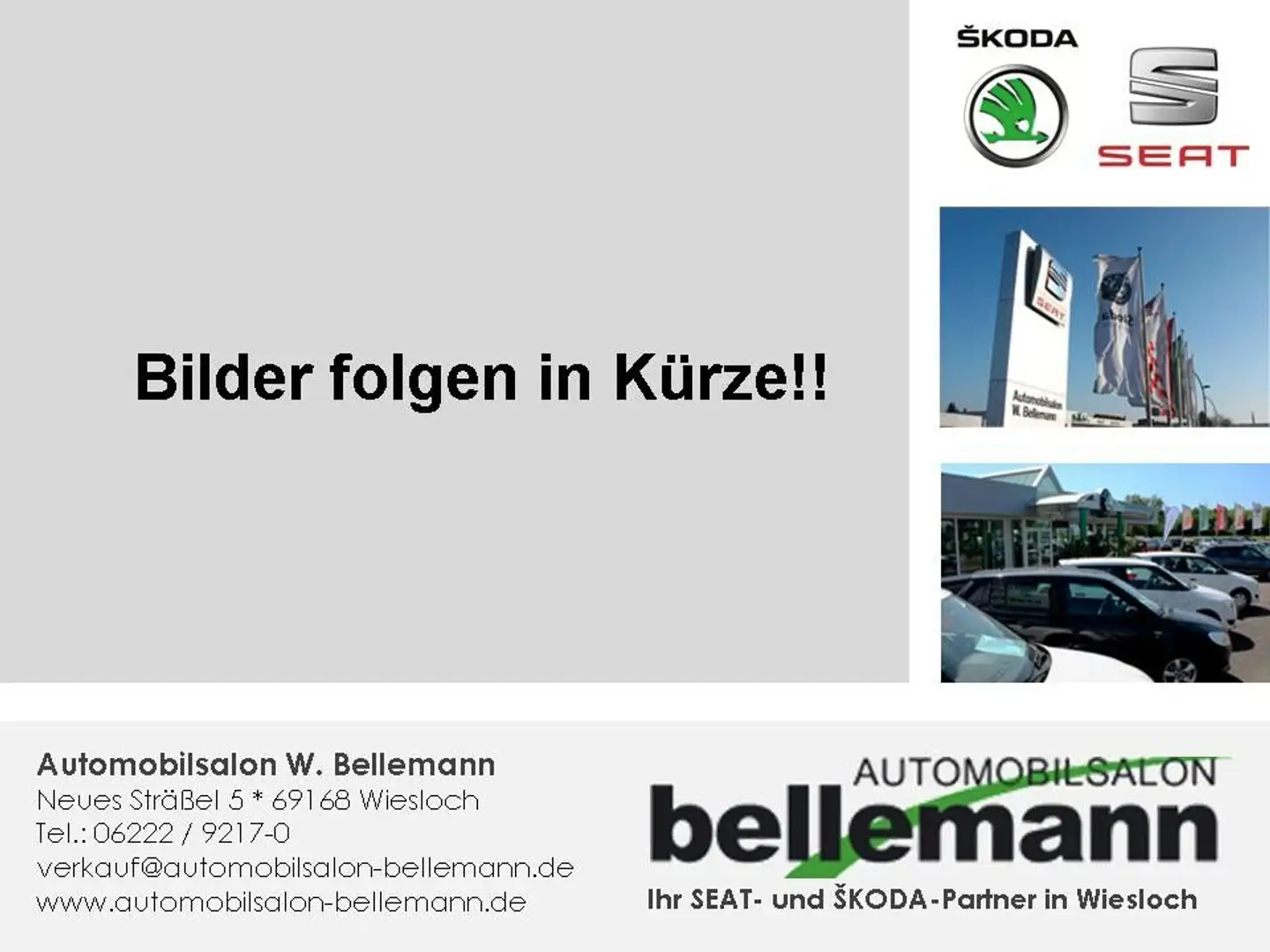Skoda Scala Drive 125 Grau - 1