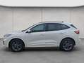 Ford Kuga 1.5 EcoBoost ST-LINE X AHK+TECHNO-Paket Bianco - thumbnail 3