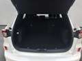 Ford Kuga 1.5 EcoBoost ST-LINE X AHK+TECHNO-Paket Bianco - thumbnail 5