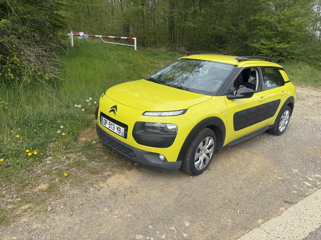 Citroen C4 Cactus PureTech 82 Business Class