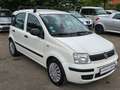Fiat Panda 1.1 8V Active Weiß - thumbnail 1