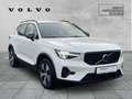 Volvo XC40 Plus Dark Recharge Plug-In Hybrid 2WD StandHZG Nav Blanc - thumbnail 5
