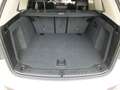 BMW X3 xDrive 20d Weiß - thumbnail 21