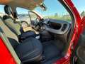 Fiat Panda Panda 1.0 firefly hybrid City Cross s&s 70cv 5p.ti Rosso - thumbnail 13