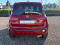 Fiat Panda Panda 1.0 firefly hybrid City Cross s&s 70cv 5p.ti Rosso - thumbnail 4