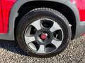 Fiat Panda Panda 1.0 firefly hybrid City Cross s&s 70cv 5p.ti Rosso - thumbnail 9