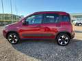 Fiat Panda Panda 1.0 firefly hybrid City Cross s&s 70cv 5p.ti Rosso - thumbnail 10