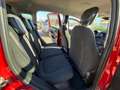 Fiat Panda Panda 1.0 firefly hybrid City Cross s&s 70cv 5p.ti Rosso - thumbnail 15