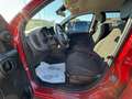 Fiat Panda Panda 1.0 firefly hybrid City Cross s&s 70cv 5p.ti Rosso - thumbnail 14