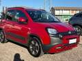 Fiat Panda Panda 1.0 firefly hybrid City Cross s&s 70cv 5p.ti Rosso - thumbnail 5