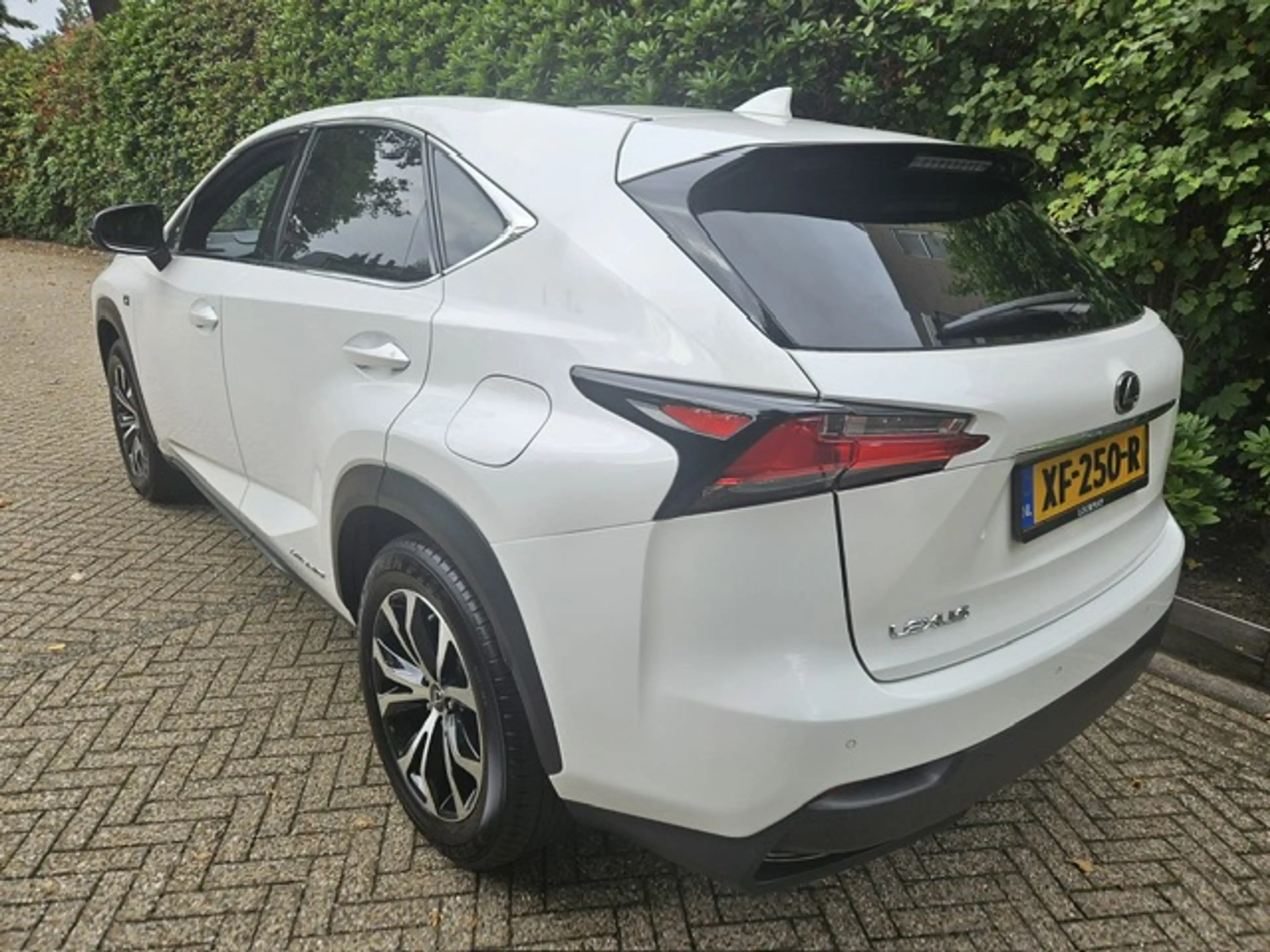 Lexus NX 300h AWD F Sport Line Panorama dak/ Headup display/Mark — photo 6
