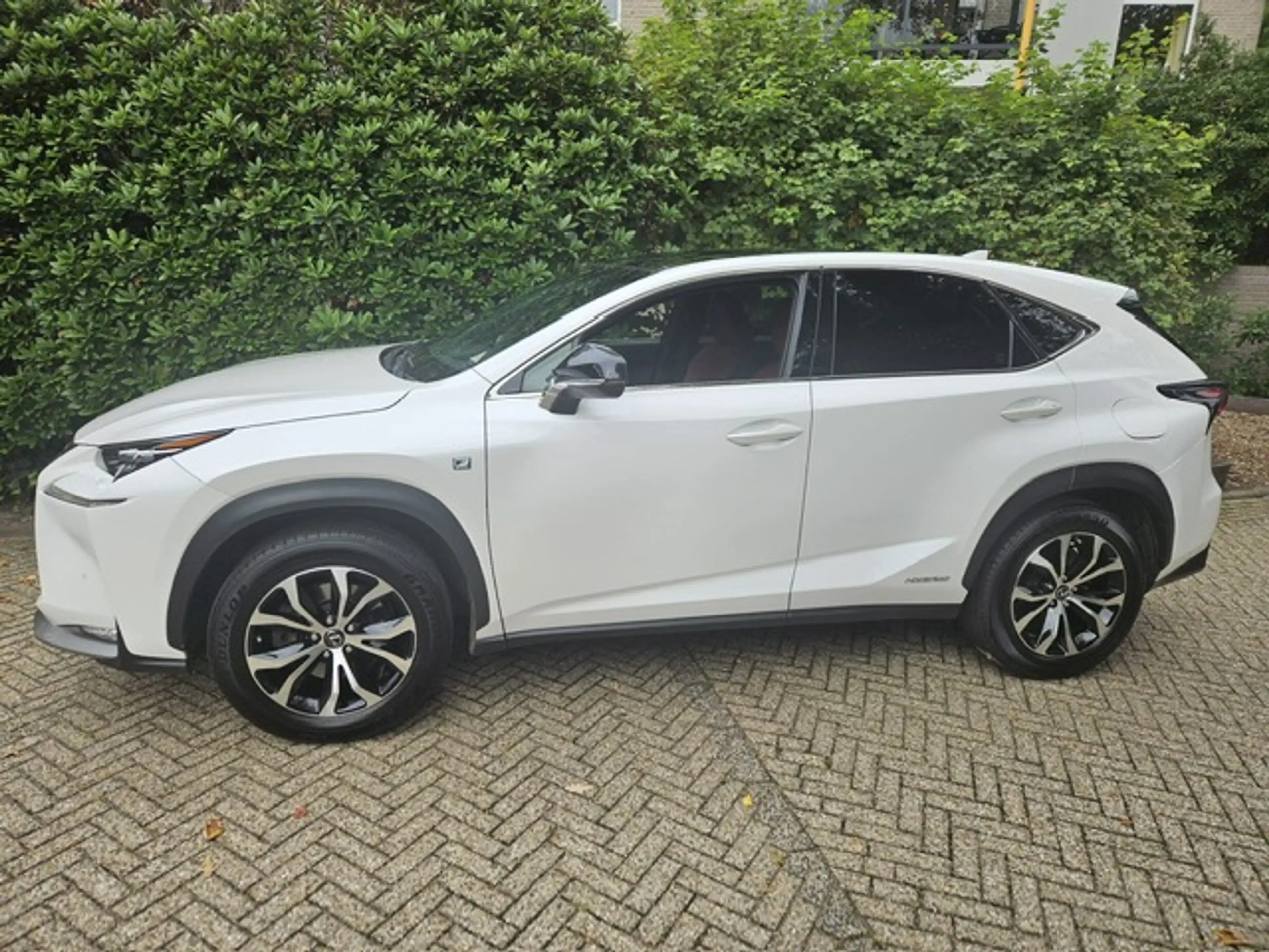 Lexus NX 300h AWD F Sport Line Panorama dak/ Headup display/Mark — photo 5