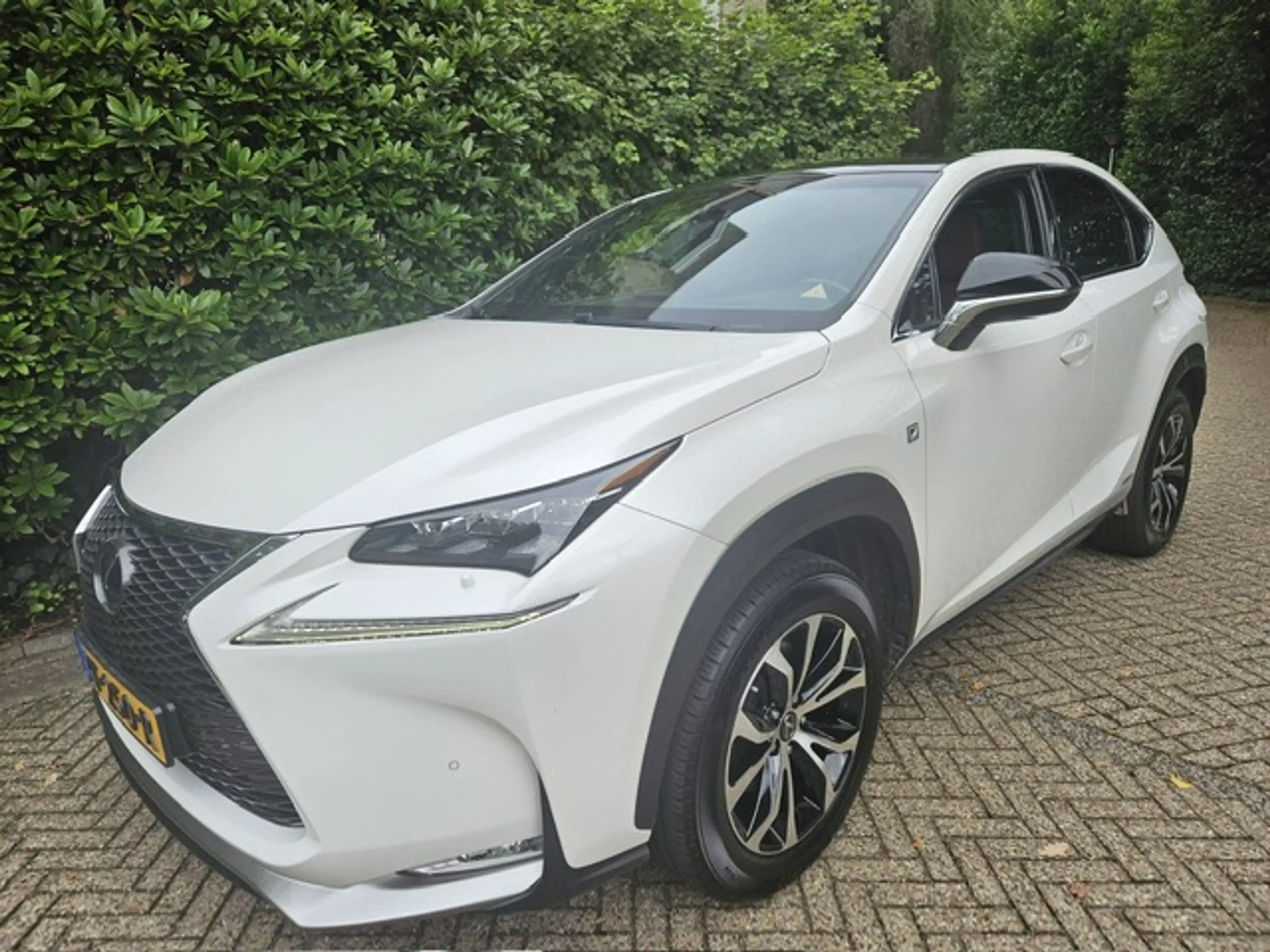 Lexus NX 300h AWD F Sport Line Panorama dak/ Headup display/Mark — photo 3