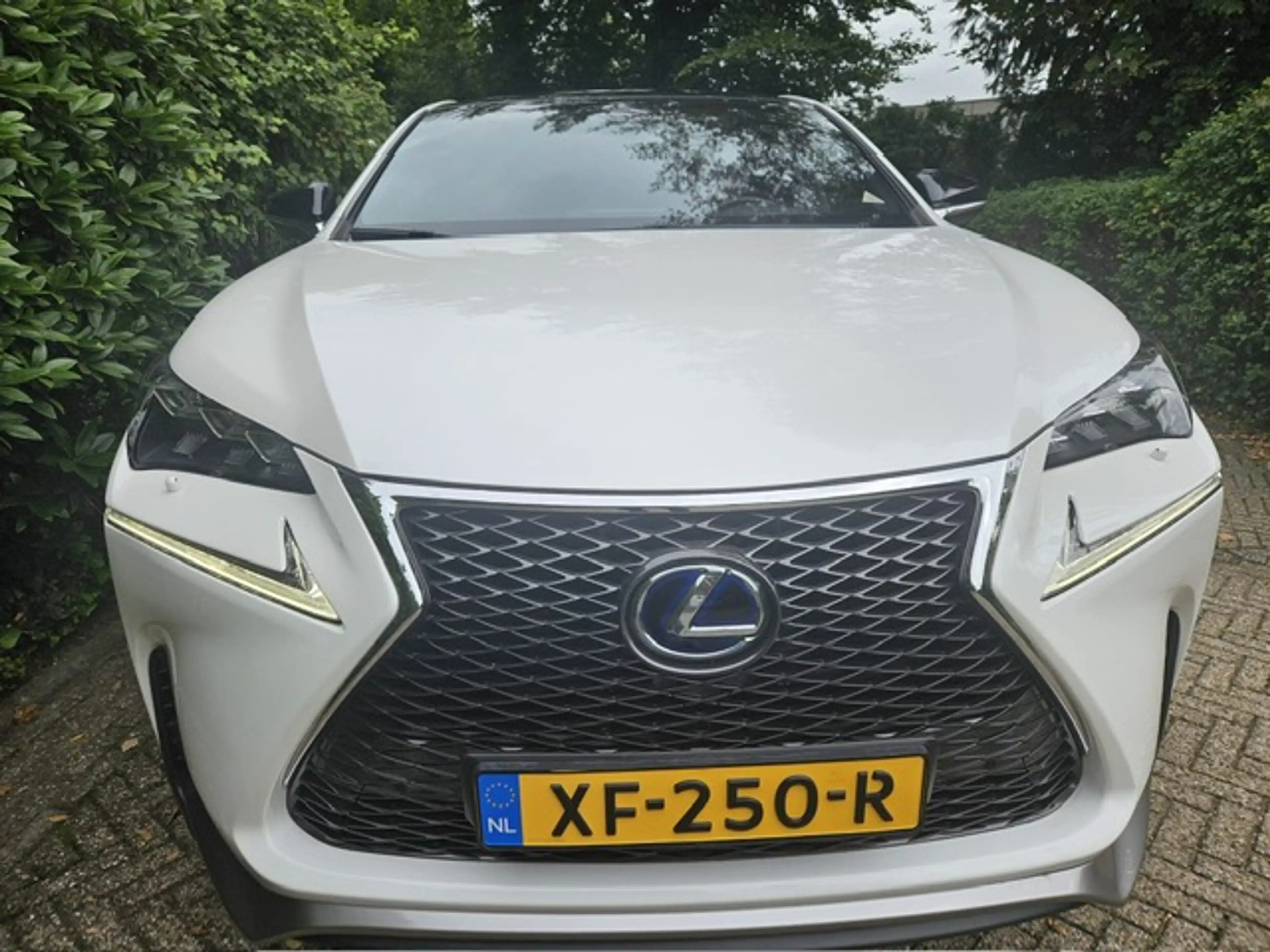 Lexus NX 300h AWD F Sport Line Panorama dak/ Headup display/Mark — photo 4