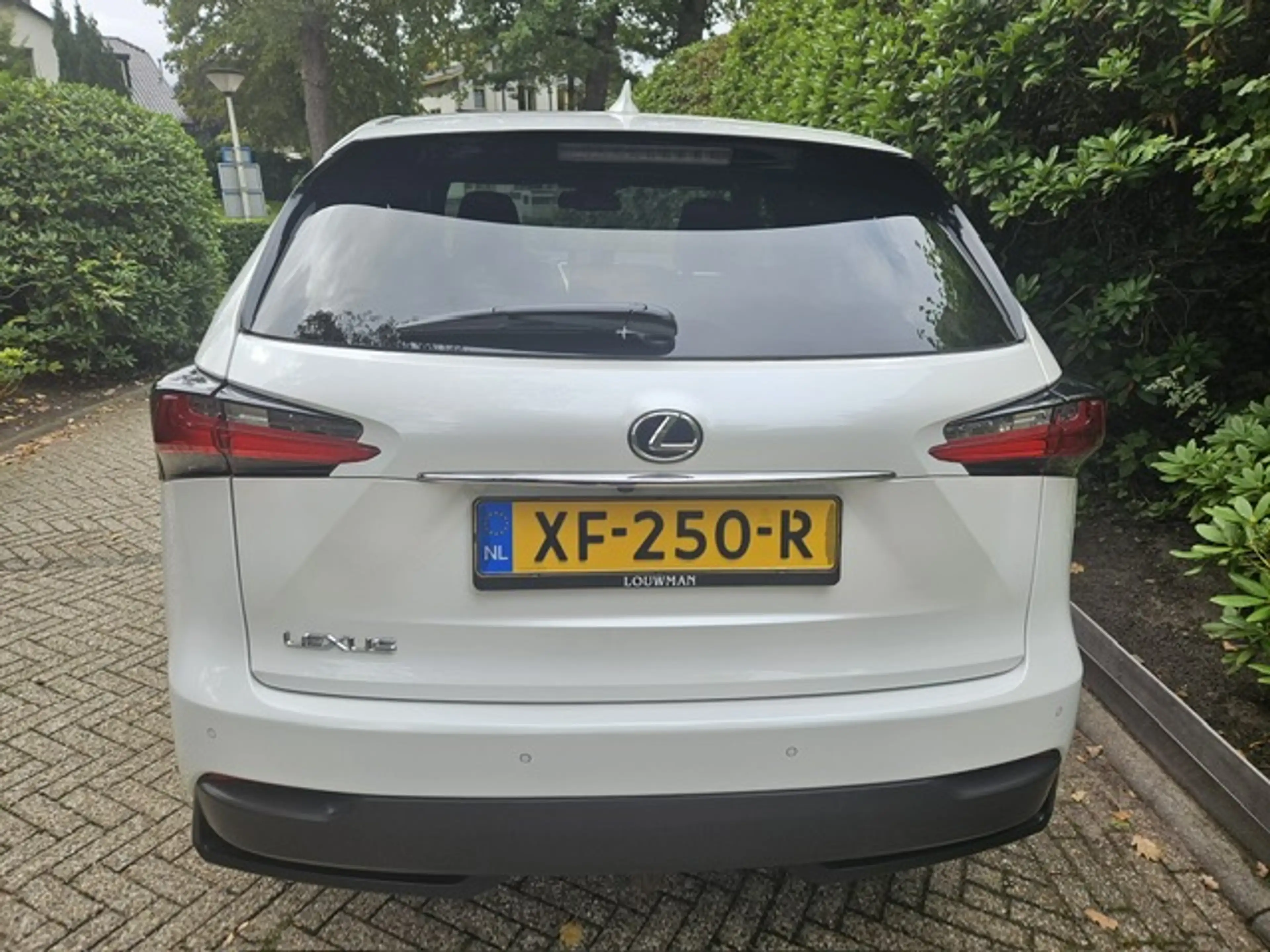 Lexus NX 300h AWD F Sport Line Panorama dak/ Headup display/Mark — photo 7