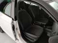 Skoda Fabia 5 porte 1.0 mpi 60cv twin color nero my19 - thumbnail 25
