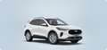 Ford Kuga 2,5 Duratec FHEV Titanium Aut. ON43094 JF Weiß - thumbnail 2