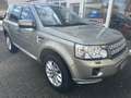 Land Rover Freelander HSE SD4, Automatik,AHK abn.,Panoramadach Beige - thumbnail 8