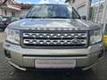 Land Rover Freelander HSE SD4, Automatik,AHK abn.,Panoramadach Beige - thumbnail 2