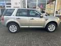 Land Rover Freelander HSE SD4, Automatik,AHK abn.,Panoramadach Beige - thumbnail 7