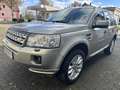 Land Rover Freelander HSE SD4, Automatik,AHK abn.,Panoramadach Beige - thumbnail 1