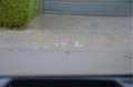 Toyota Yaris 1.5 Hybrid Dynamic LED | CLIMA | CAMERA | HEAD UP Gris - thumbnail 16