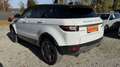 Land Rover Range Rover Evoque *NAVI* PDC* orig. 91 tKm* 8FACH Weiß - thumbnail 7