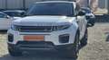 Land Rover Range Rover Evoque *NAVI* PDC* orig. 91 tKm* 8FACH Weiß - thumbnail 46