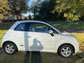 Fiat 500 1.2 POP PANORAMADAK ALU VELGEN Wit - thumbnail 7