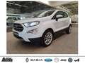 Ford EcoSport 1.0 EcoBoost TITANIUM KAMERA WINTER-P. PDC APP-LIN Wit - thumbnail 1