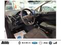 Ford EcoSport 1.0 EcoBoost TITANIUM KAMERA WINTER-P. PDC APP-LIN Wit - thumbnail 15