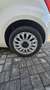 Fiat 500 1.2 Lounge 69cv dualogic my20 - thumbnail 7