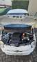 Fiat 500 1.2 Lounge 69cv dualogic my20 - thumbnail 14