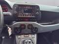 Fiat Panda 4x2 FireFly Hybrid 70 (Red) Rot - thumbnail 14