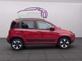 Fiat Panda 4x2 FireFly Hybrid 70 (Red) Rot - thumbnail 6
