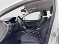 Skoda Octavia Scout 4x4 Dsg Diesel Aut *Ahk*Sitzh*Kamera*Navi Blanc - thumbnail 8