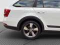 Skoda Octavia Scout 4x4 Dsg Diesel Aut *Ahk*Sitzh*Kamera*Navi Blanc - thumbnail 36
