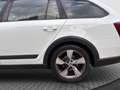 Skoda Octavia Scout 4x4 Dsg Diesel Aut *Ahk*Sitzh*Kamera*Navi Blanc - thumbnail 37