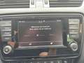 Skoda Octavia Scout 4x4 Dsg Diesel Aut *Ahk*Sitzh*Kamera*Navi Blanc - thumbnail 28