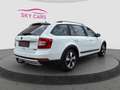 Skoda Octavia Scout 4x4 Dsg Diesel Aut *Ahk*Sitzh*Kamera*Navi Blanc - thumbnail 7