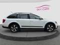 Skoda Octavia Scout 4x4 Dsg Diesel Aut *Ahk*Sitzh*Kamera*Navi Blanc - thumbnail 4