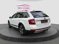 Skoda Octavia Scout 4x4 Dsg Diesel Aut *Ahk*Sitzh*Kamera*Navi Blanc - thumbnail 6