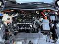 Ford Kuga Duratec 2.5 PHEV Vignale Panorama AHK FAP Schwarz - thumbnail 20