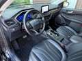 Ford Kuga Duratec 2.5 PHEV Vignale Panorama AHK FAP Schwarz - thumbnail 9