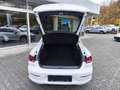 Volkswagen Arteon 2.0 TDI DSG Elegan NAVI+LED+SHZ+TEMP+DAB+ Weiß - thumbnail 21