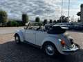 Volkswagen Maggiolino Leggere la descrizione! Blanco - thumbnail 4