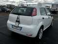 Fiat Punto Punto III 2012 5p 1.2 Lounge Bianco - thumbnail 3