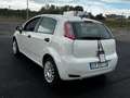 Fiat Punto Punto III 2012 5p 1.2 Lounge Bianco - thumbnail 5