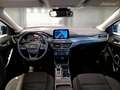 Ford Focus WAGON 1.5 Ecoblue 120cv Active Co-Pilot Auto - thumbnail 7